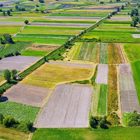 Apartment Awesome In With Wifi Kakma